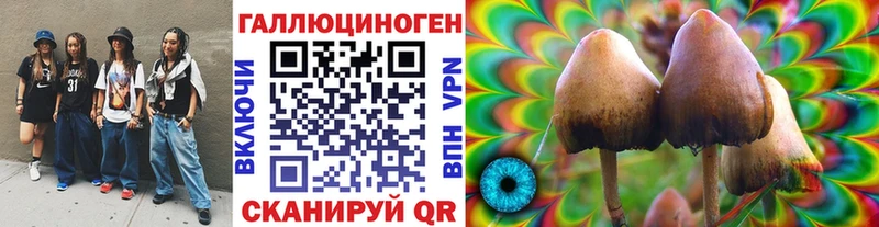 Галлюциногенные грибы Magic Shrooms  Высоцк 